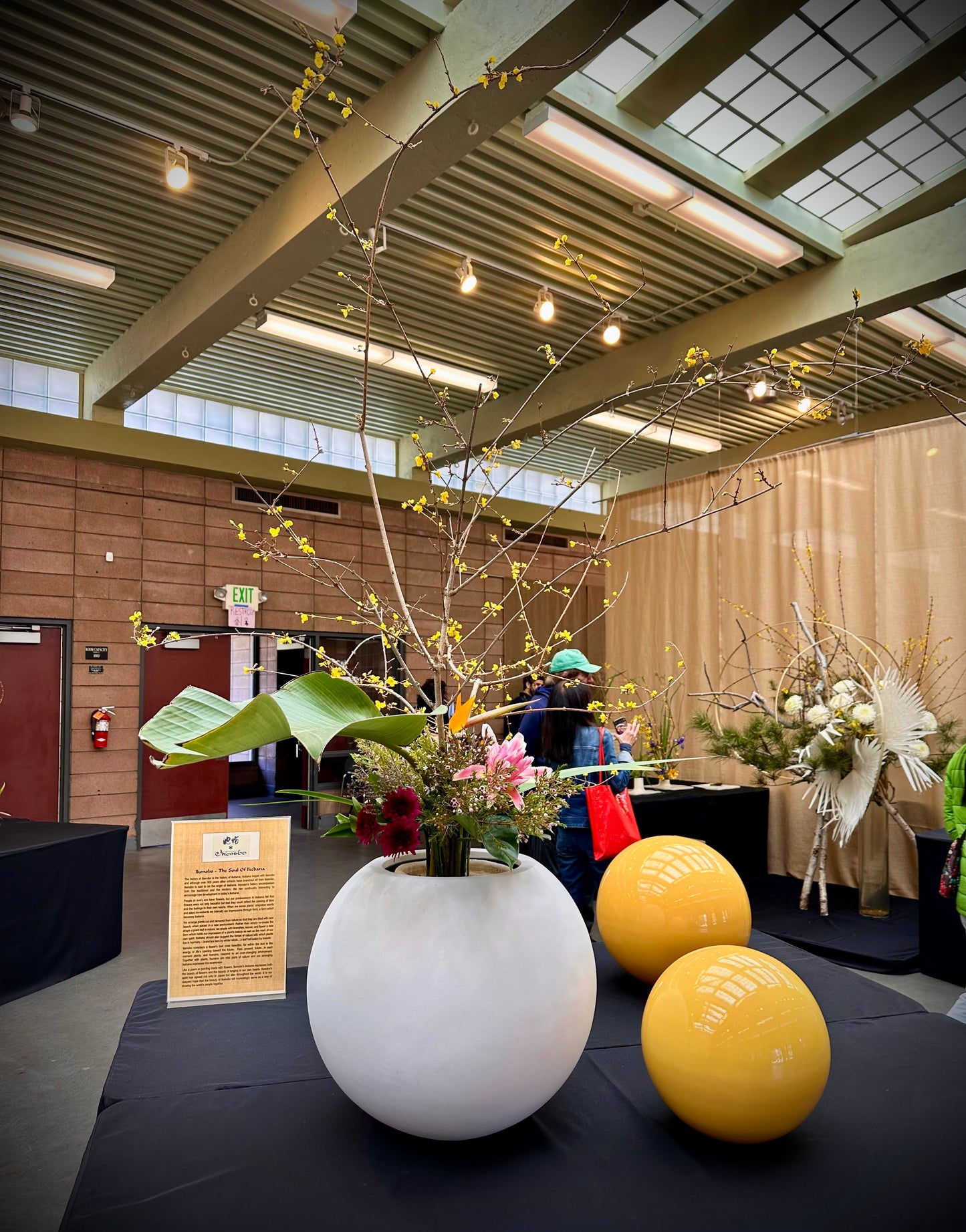 Ikebana International Exhibition & 3/16-17/2024