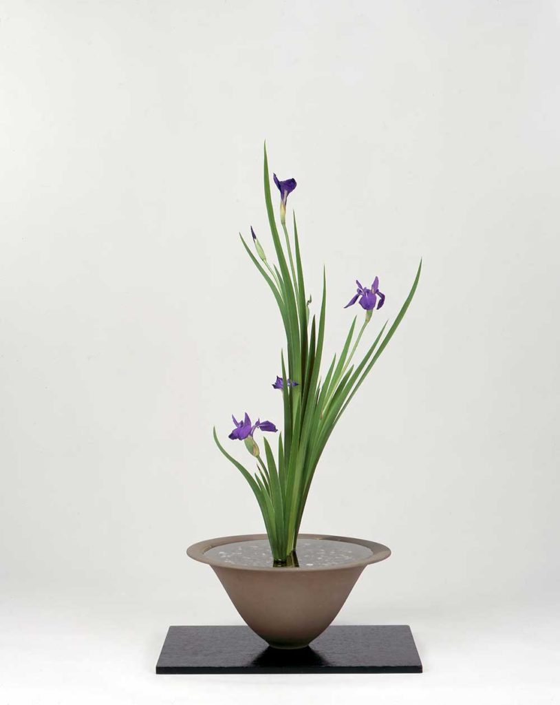 Iris shoka arrangement